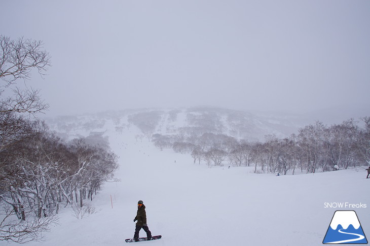 ニセコマウンテンリゾート グラン・ヒラフ　粉雪と千歳ワイナリーの美味しいワインに酔う♪